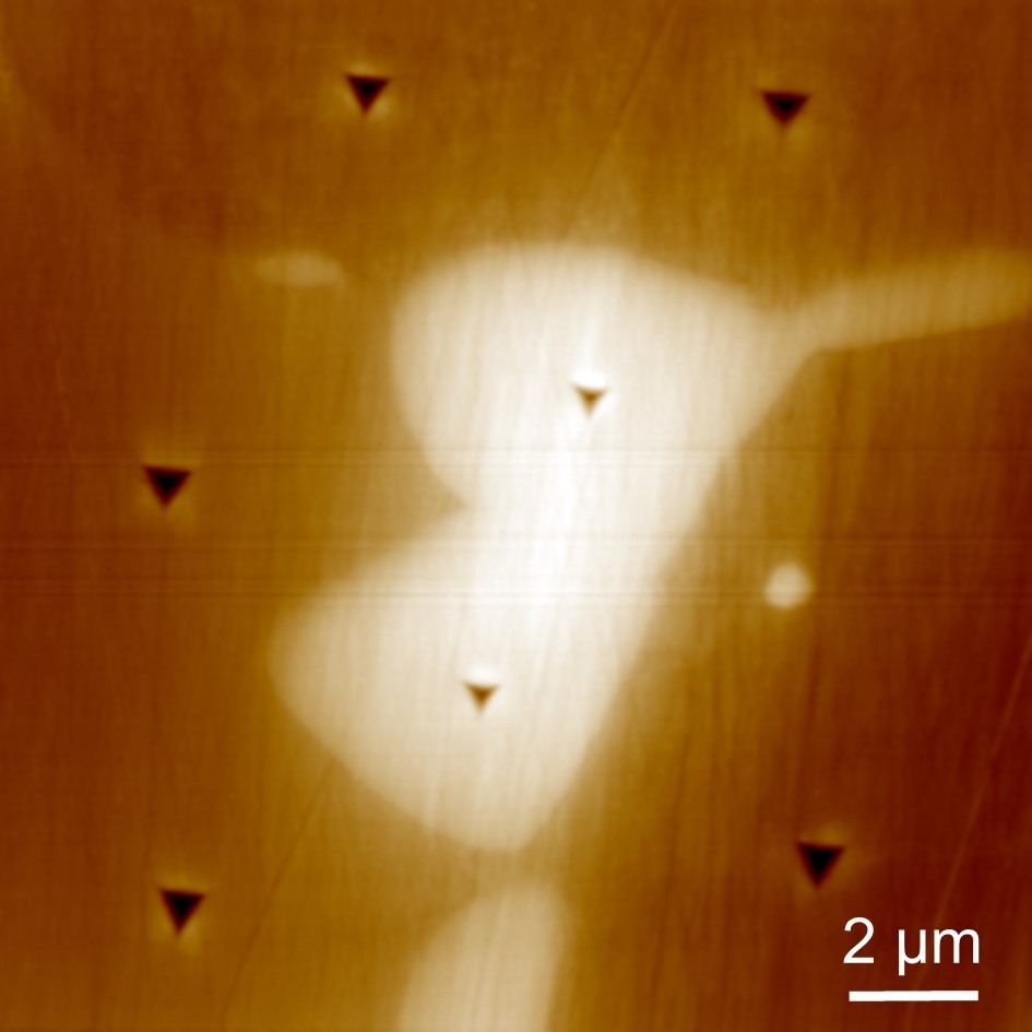 Image topographique d’un alliage à haute entropie renforcé par des carbures après des essais de nanoindentation